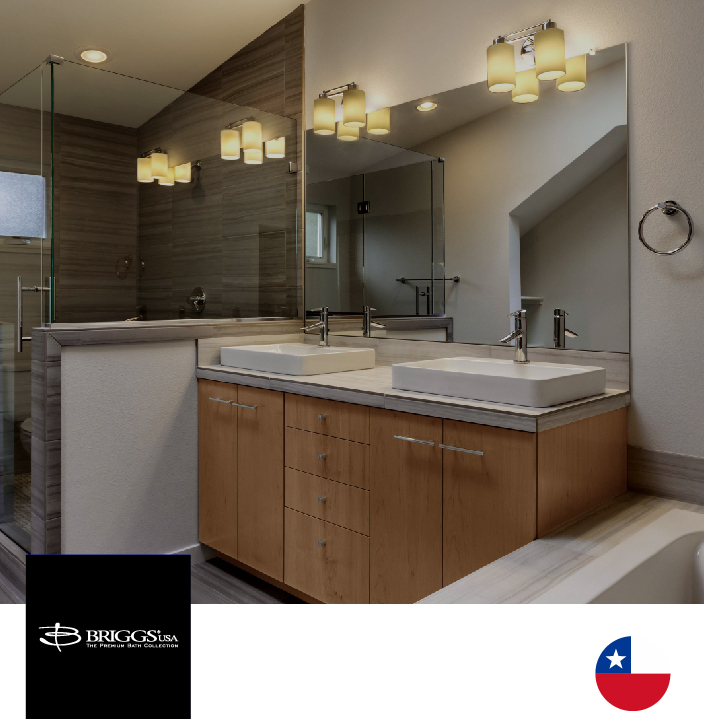 imagen y logo briggs